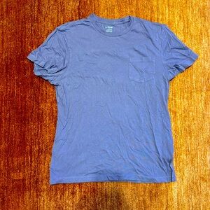 J Crew Slim T-Shirt in Purple